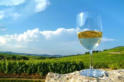 white wines