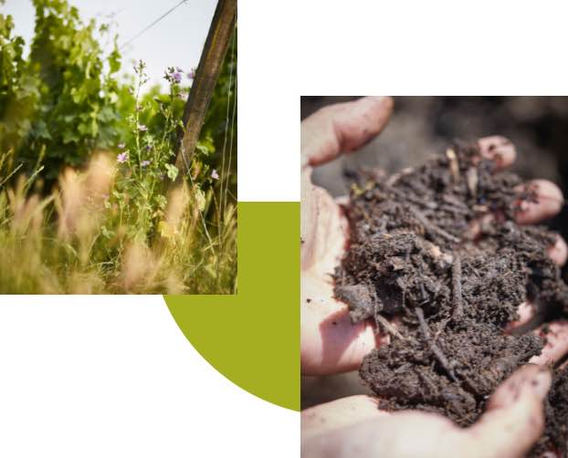 biodynamie
