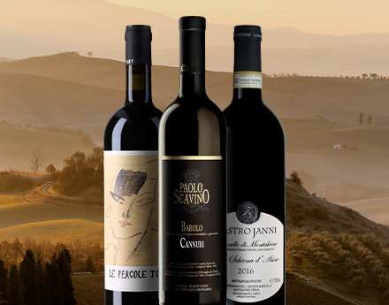 Best Italian wines