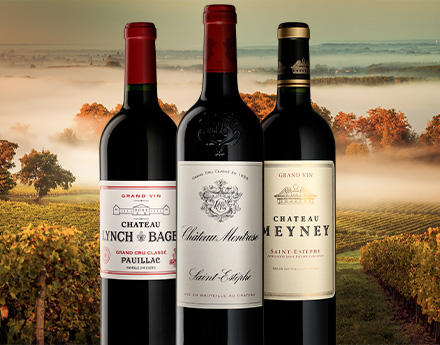 Best Bordeaux Wines