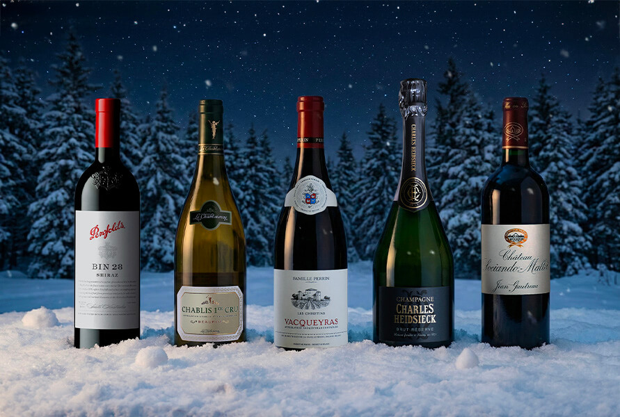 5 bouteilles de vins et champagnes posées sur de la neige