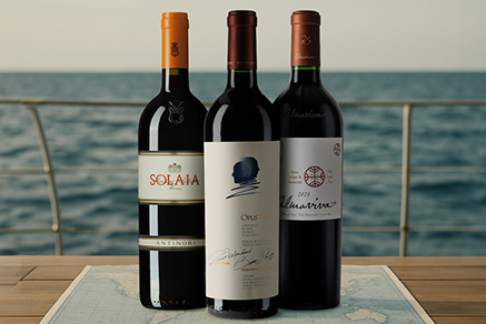 Tous nos vins de la sélection icônes du monde 2026