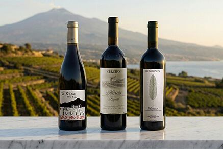 A selection of wine and champagne bottles