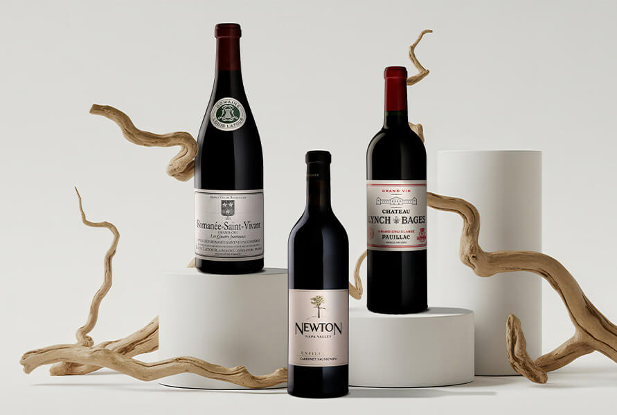 5 bouteilles de vins et champagnes posées sur de la neige