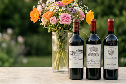 Bottles of bordeaux wines