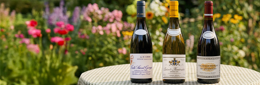 Bottles of burgundy wines