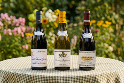 Bottles of burgundy wines