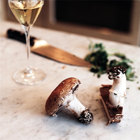 krug x le champignon