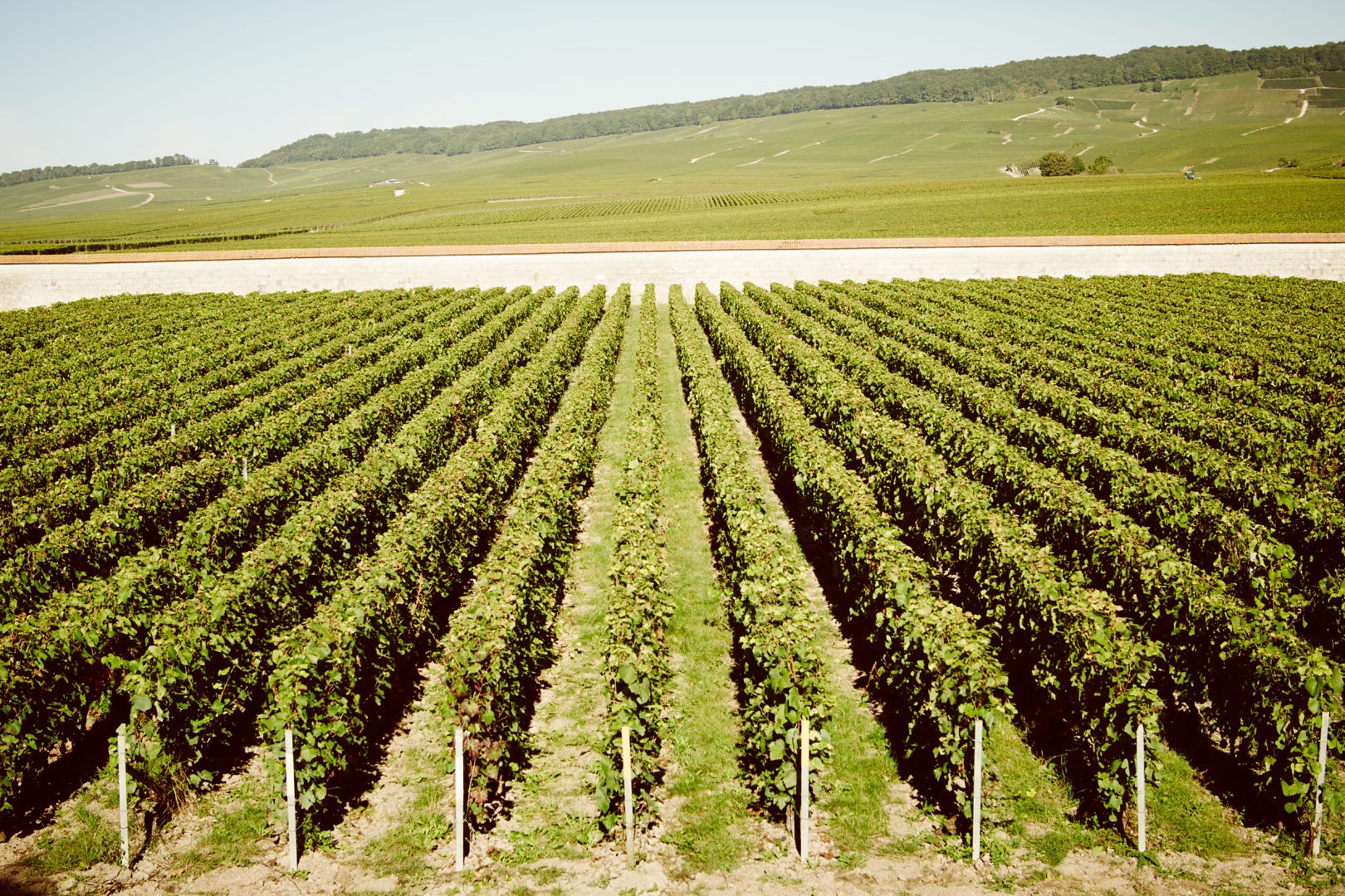 Krug : Clos d'Ambonnay 2002
